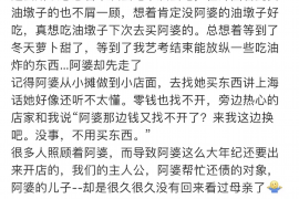 新蔡为什么选择专业追讨公司来处理您的债务纠纷？